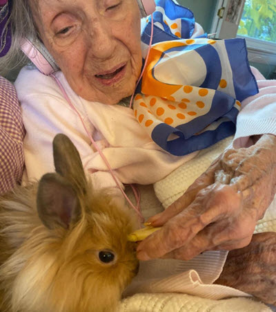 bunny therapy