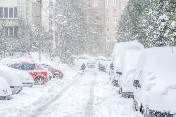 Snow piled on top of parked cars