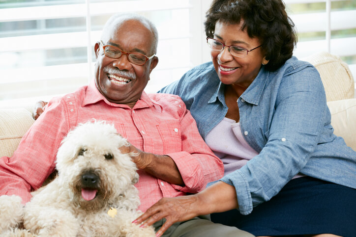dog with couple