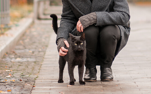 black cat with man outside