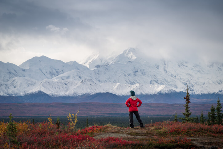 Denali National Park