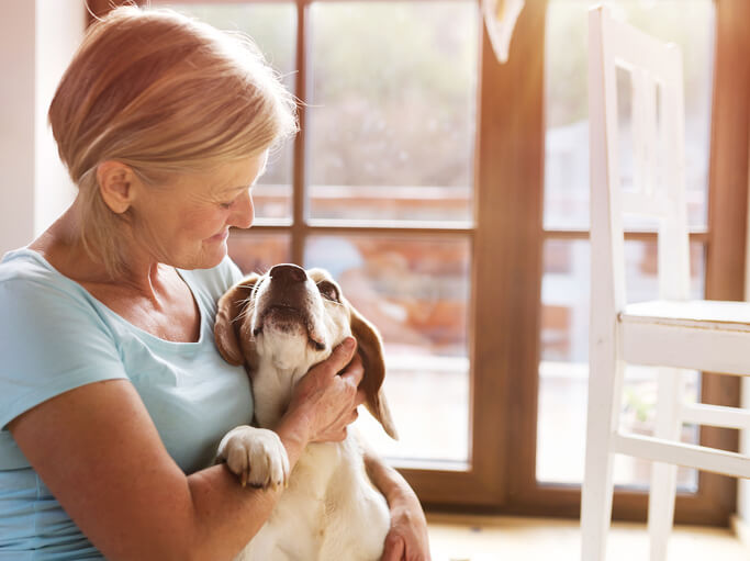 dog looks up at woman