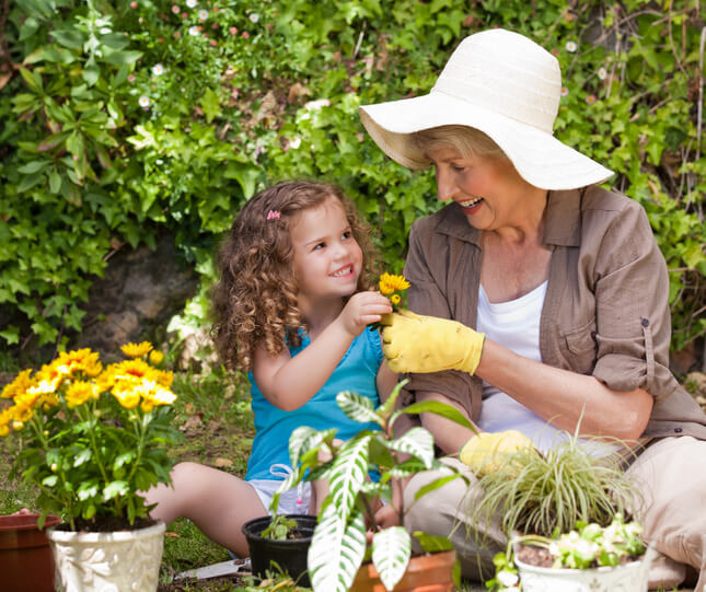 A grandmother and granddaughter gardening together