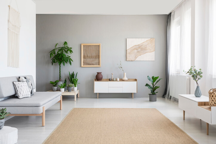 decluttered modern living room