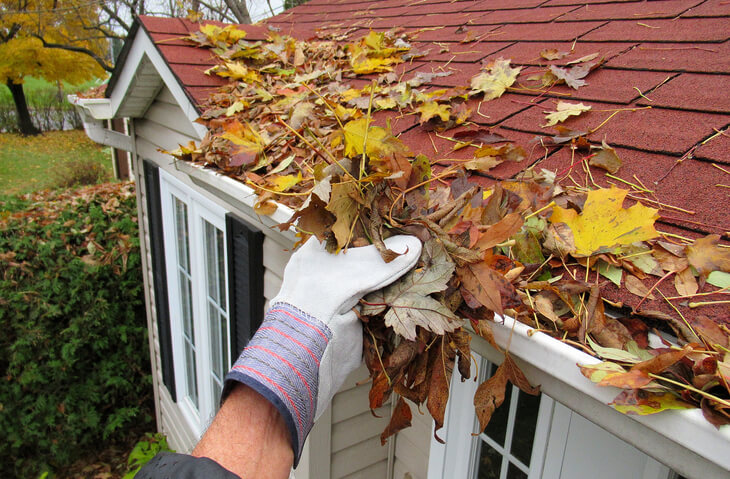 Cleaning leaves out of gutters