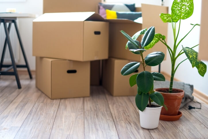 unlabeled moving boxes