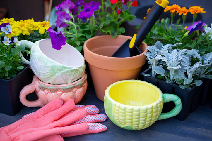 Potted plants, gloves and pots with a trowel