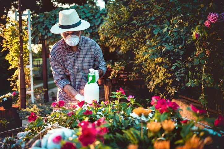 A gardener spraying flowers