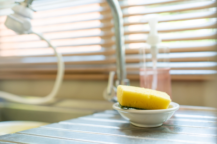 kitchen sponge
