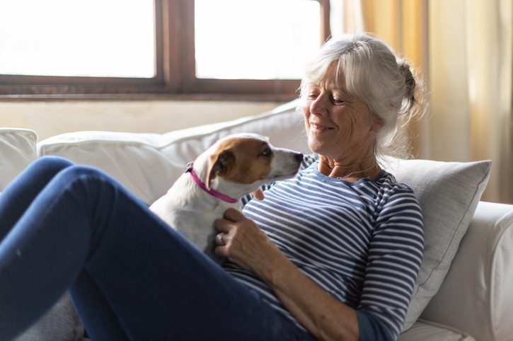dog on couch with woman