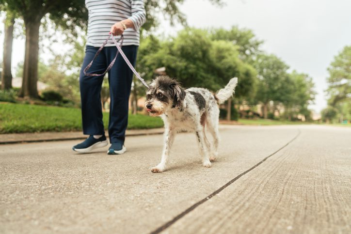 woman walking a dog