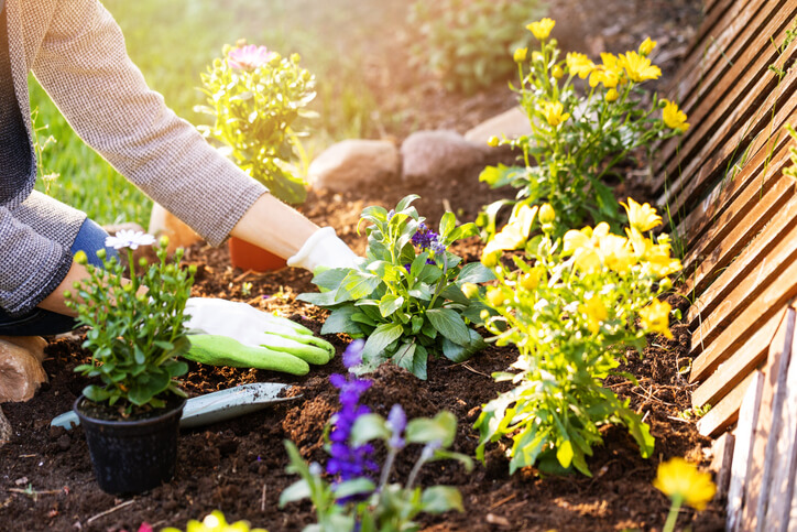 woman gardening