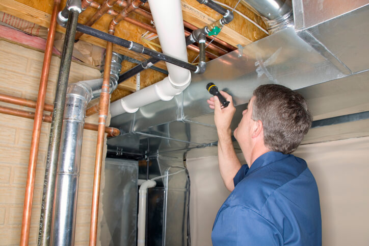 home inspector
