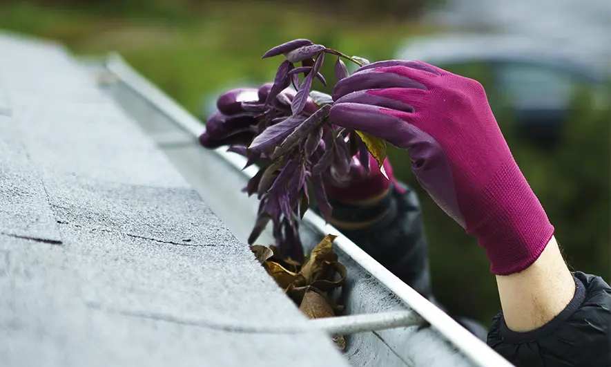woman cleaning gutters