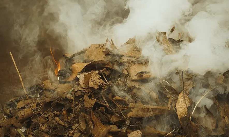 smoking leaf pile