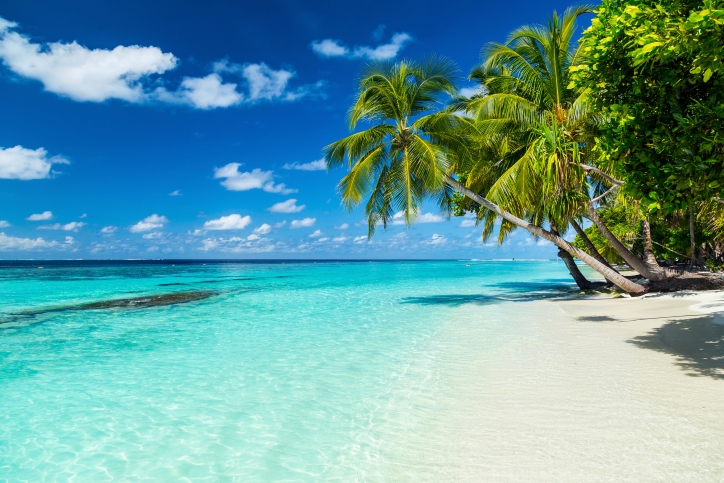 Caribbean beach