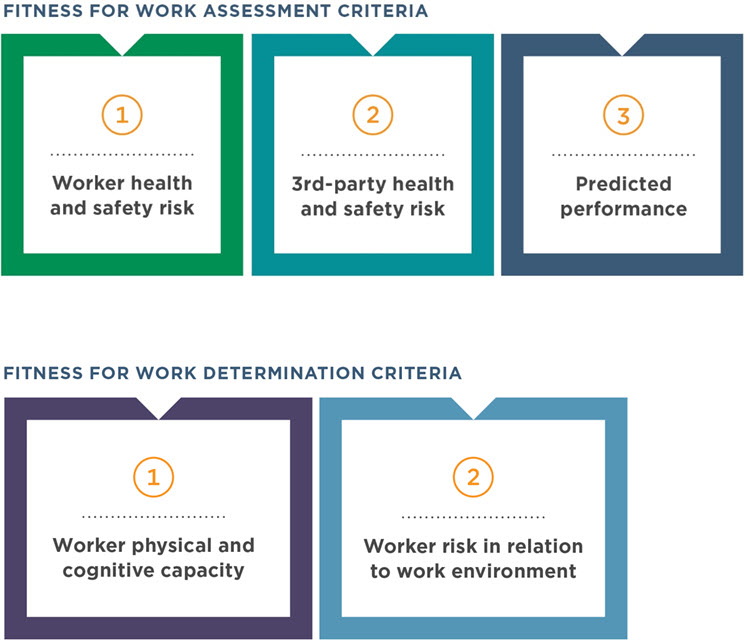 Determining Fitness for Work infographic