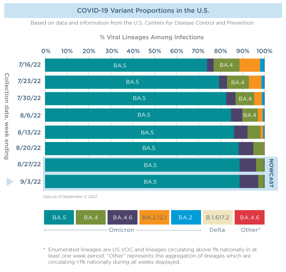 How Do Viruses Mutate? | COVID-19 Variants | The Hartford Insights