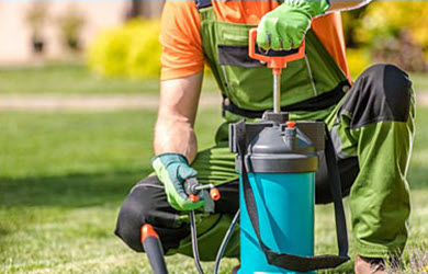 insurance for lawn care