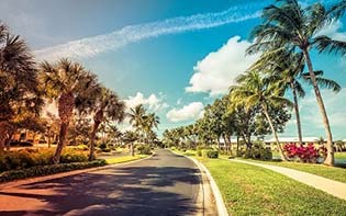Florida Driving