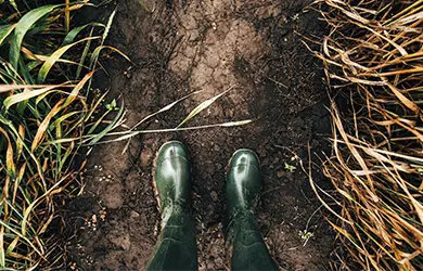 workers compensation for agricultural consultants