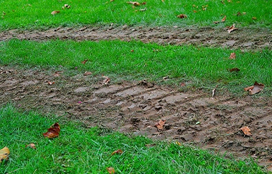 commercial auto insurance for auto detailing businesses