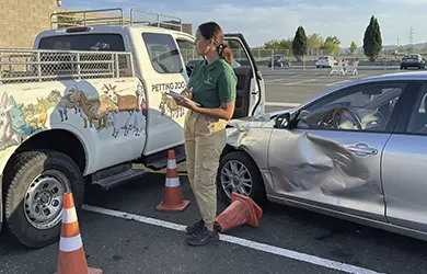 commercial auto insurance for petting zoos