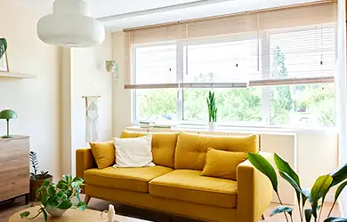 ccc coverage for house sitters