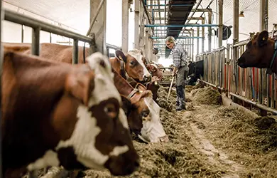 general liability for agriculture businesses