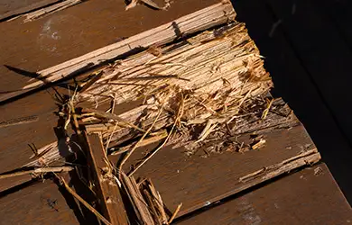 Contractors Equipment Insurance for flea markets