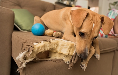 storm-term rental coverage for airbnbs