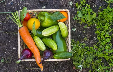 Professional Liability Insurance for agriculture businesses