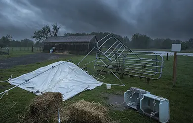 business income insurance for petting zoos