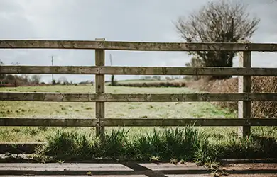 general liability for chicken farms