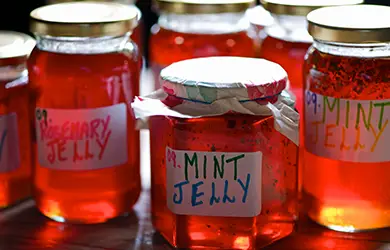 product liability insurance for agritourism businesses