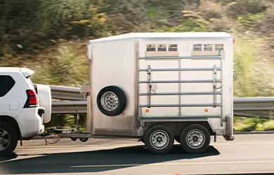 commercial property insurance for equine businesses