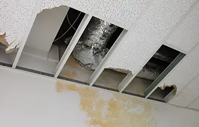 commercial property insurance for animal rescue businesses