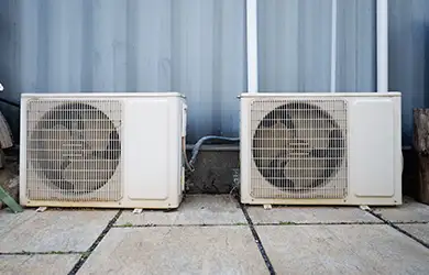 business income insurance for chicken farms