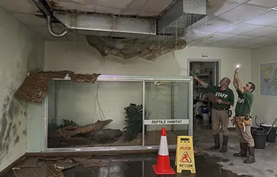 commercial property insurance for petting zoos