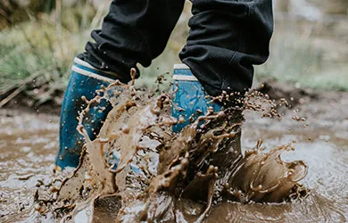 general liability insurance for petting zoos