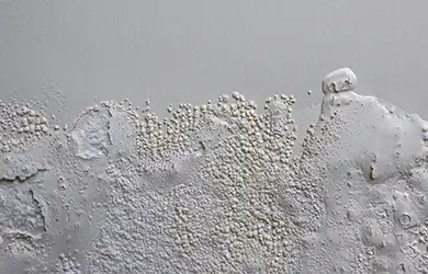 professional liability insurance for real estate investors