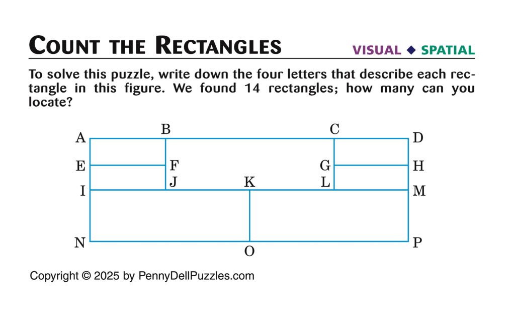Count the rectangles