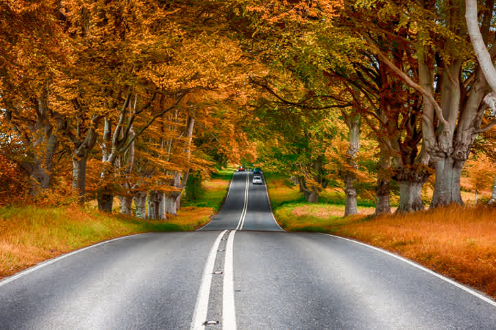 Fall Leaf Peeping