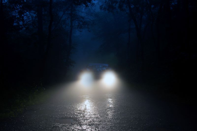 a car in a forest at night