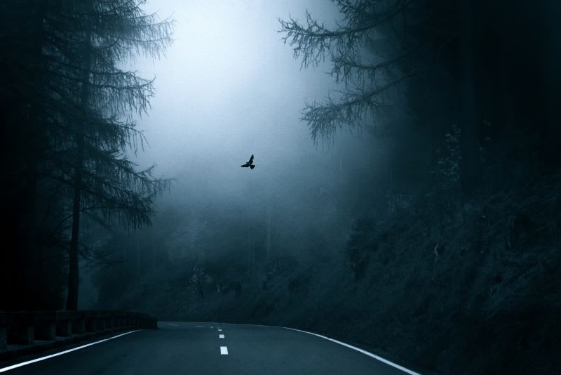 spooky road