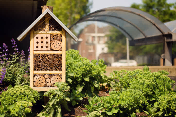 A bee hotel with lots of insect-sized openings