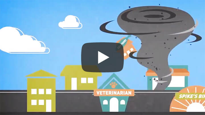 Business Insurance Video