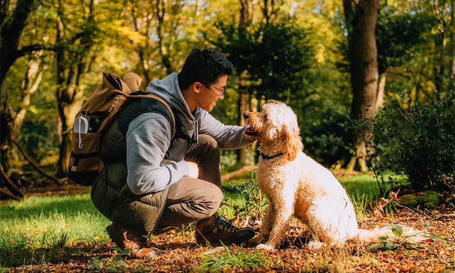A man kneels in the woods with his dog