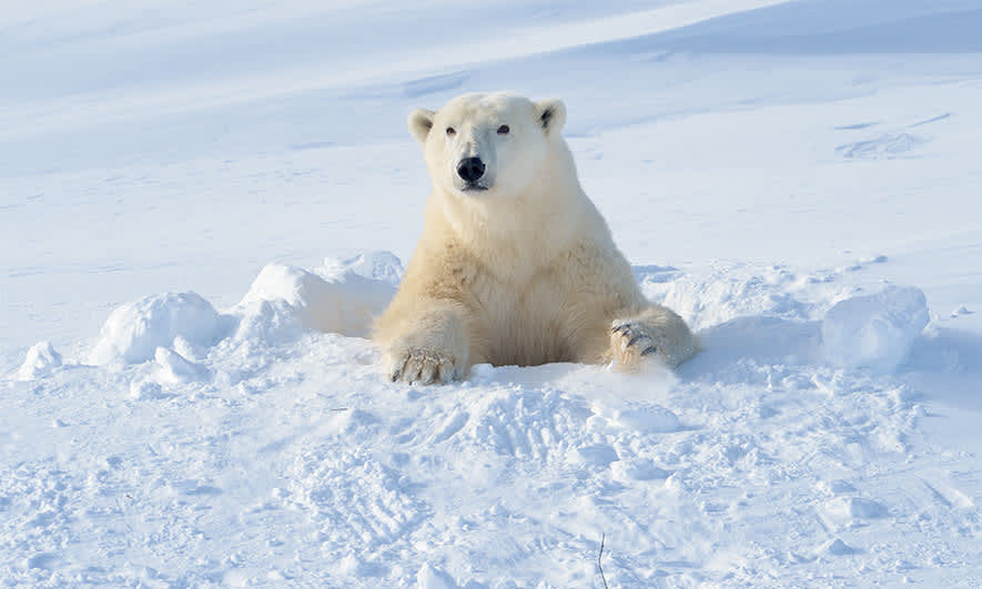 A Growing Need for Environmental Insurance