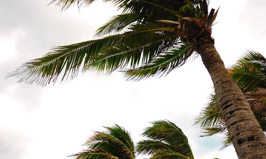 3 Tips to Help Prepare Construction Sites for Hurricanes